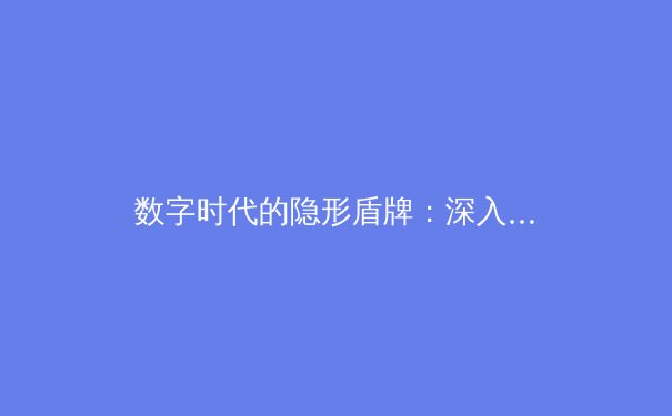 数字时代的隐形盾牌：深入解析VPN的核心原理与价值 - 4