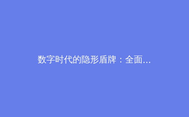 数字时代的隐形盾牌：全面解析VPN的奥秘与力量 - 2